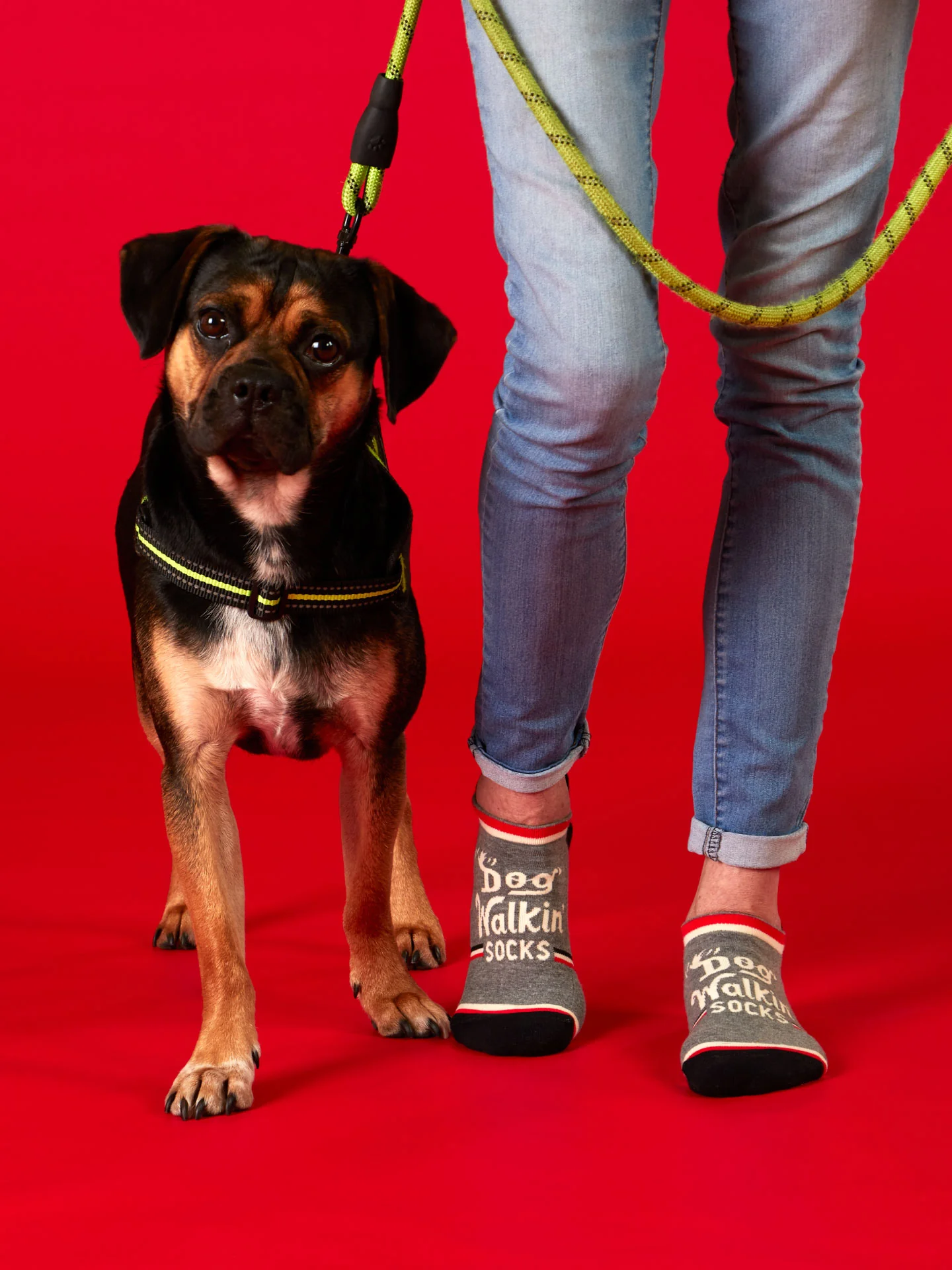 Dog Walkin' Sneaker Socks - Image 3